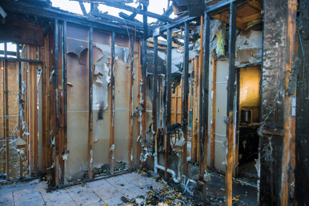 Professional Firefighting Water Removal technician working in Lewisville, WA